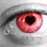 bin c des yeux ki aime !!!!!