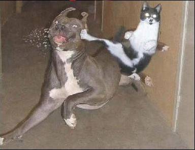lol!!!!!!!!!!!!!!!!!!!!!!!!!!!!