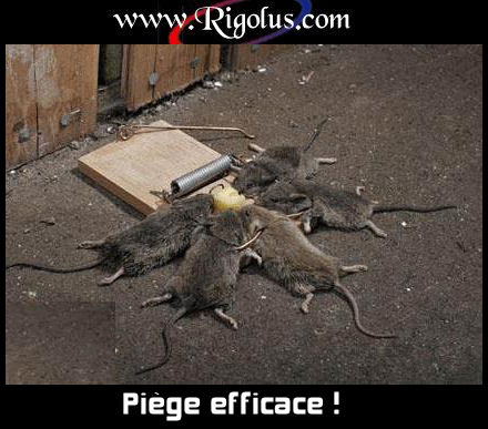 vous avez vu !!!!!